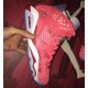 Air Jordan 6 Slam Dunk Red/White