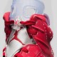 Air Jordan 6 Slam Dunk Red/White